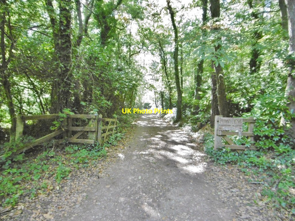 Photo 6"x4" Wareham, gate Wareham c2016