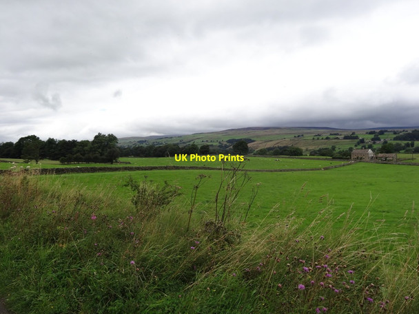 Photo 6"x4" View Across Farmland Hunderthwaite c2016