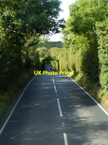 Photo 6"x4" Long Lane Downend\/SZ5387 c2016
