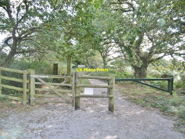 Photo 6"x4" Wareham Forest, gates Wareham c2016
