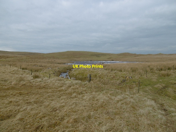 Photo 6"x4" Loch, Harden Moss Roberton\/NT4214 c2016