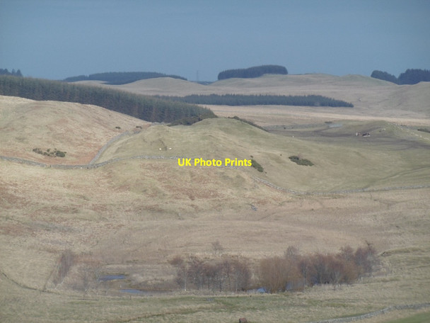 Photo 6"x4" Woolaw Moss Salenside c2016