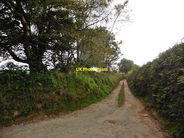 Photo 6"x4" Track to East Okewill Farm Churchill\/SS5940 c2016