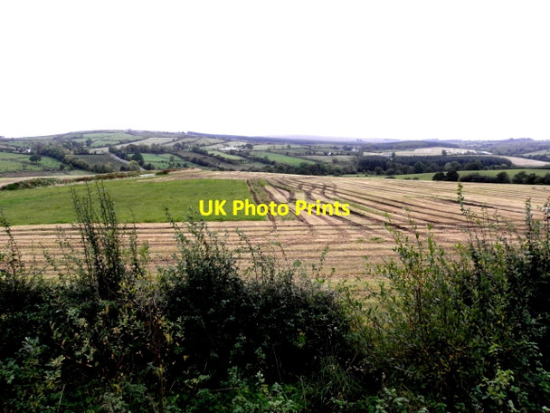 Photo 6"x4" Partly harvested field, Curraghmulkin Drumquin c2016