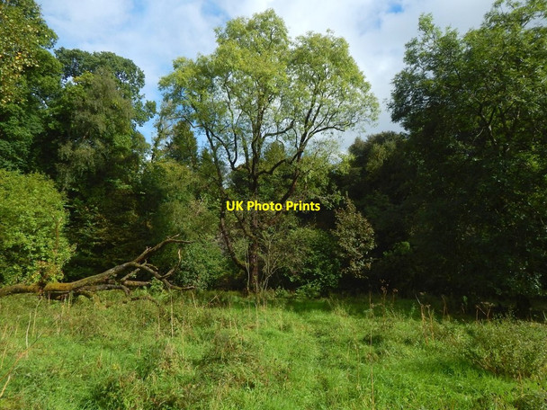 Photo 6"x4" Within a loop of Gruggies Burn Dumbarton c2016