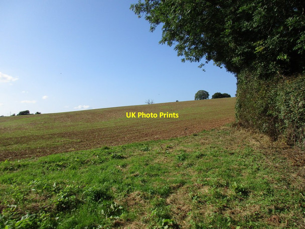 Photo 6"x4" Field by the edge of Withymoor Wood Beavan's Hill c2016