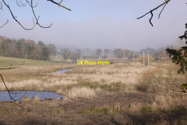 Photo 6"x4" Wetland, Cringlettie Cringletie c2016