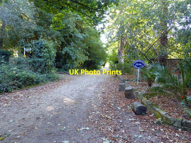 Photo 6"x4" Ducie Avenue, Bembridge Bembridge c2016
