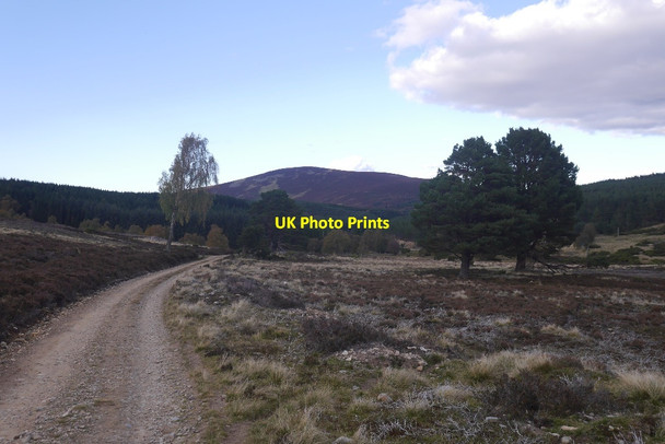 Photo 6"x4" Road near Insharn Sluggan c2016