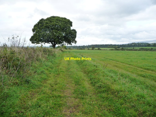 Photo 6"x4" Public footpath to Colby Laithes Appleby-in-Westmorland c2016