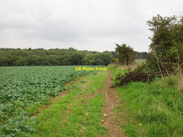 Photo 6"x4" Unofficial field edge path Cranwell c2016