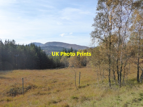 Photo 6"x4" Clearing near Tomdoun Garrygualach c2016
