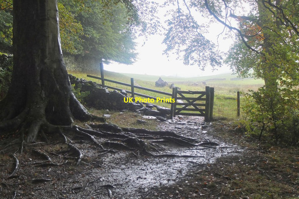 Photo 6"x4" Gate to the Southern Upland Way below Gala Hill Galashiels c2016