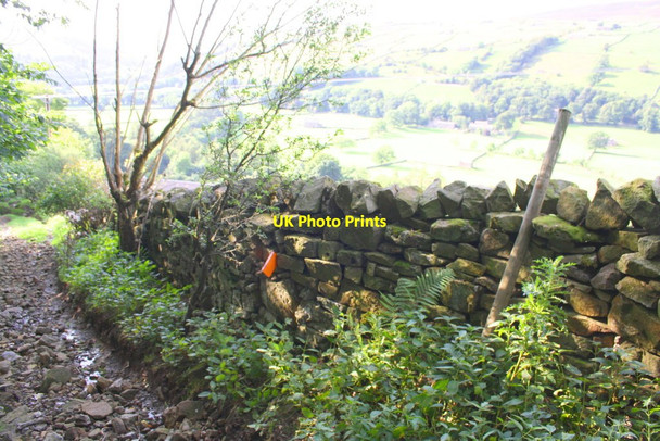 Photo 6"x4" Gale Lane descending towards Low Houses Low Row\/SD9897 c2016