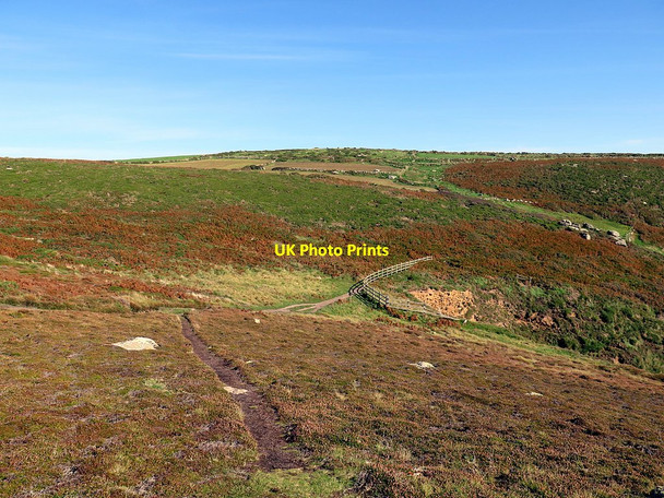 Photo 6"x4" Path at Trevilley Cliff Trevescan c2016