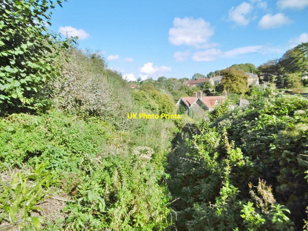 Photo 6"x4" Powerstock, bridleway Powerstock c2016