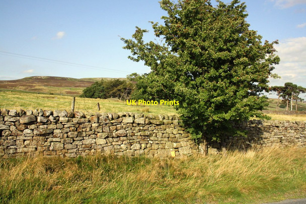 Photo 6"x4" View of moorland north of Morley Gate Low Whita c2016