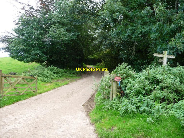 Photo 6"x4" Public footpath to Appleby Appleby-in-Westmorland c2016