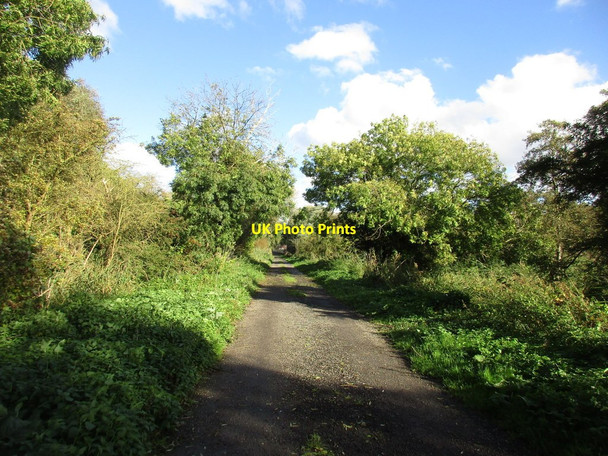 Photo 6"x4" Causeway Lane Gainsborough\/SK8189 c2016
