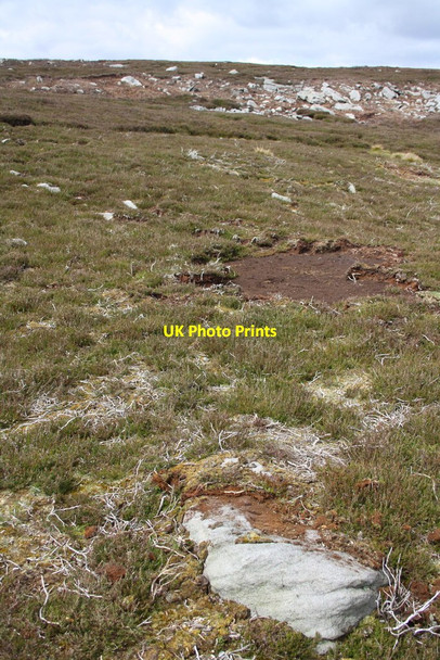 Photo 6"x4" Fleak Moss Newbiggin\/SD9591 c2016