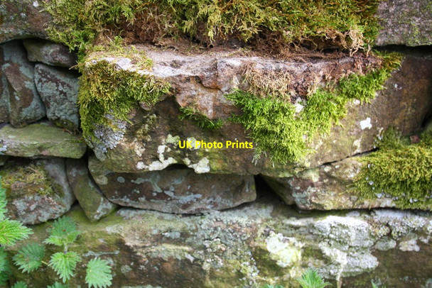 Photo 6"x4" Benchmark on stone in wall overlooking Horrabank Farm Newbiggin\/SD9591 c2016
