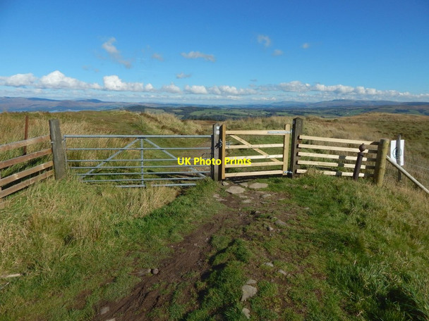 Photo 6"x4" New gate on the Stoneymollan Road Arden\/NS3684 c2016