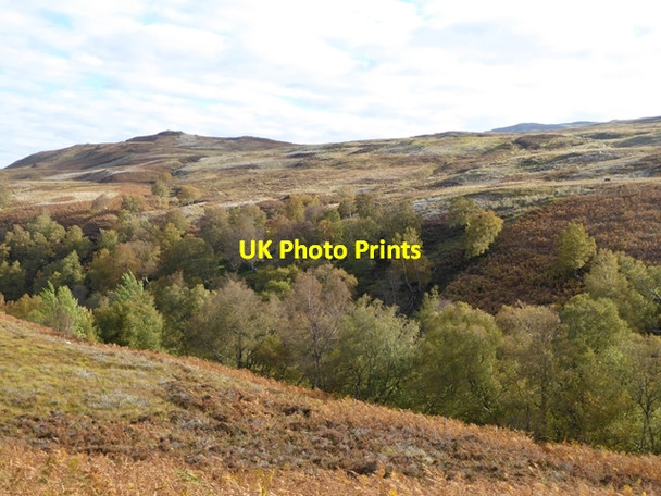 Photo 6"x4" Glen Doe Glen Doe c2016