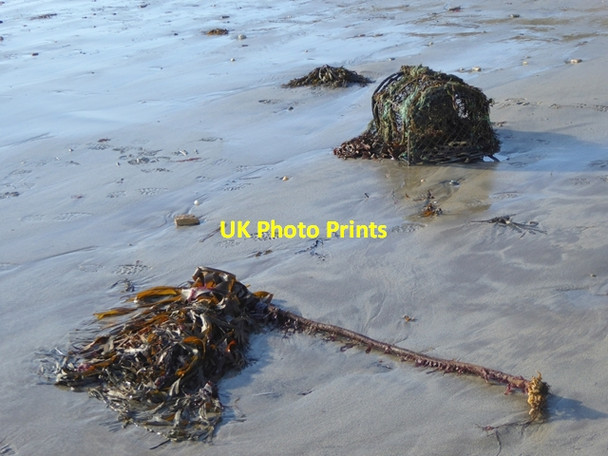 Photo 6"x4" Seaweed on the beach at Boulmer Boulmer c2016