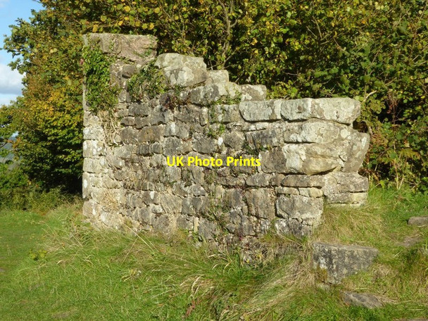 Photo 6"x4" The Folly, Coppet Hill Goodrich c2016