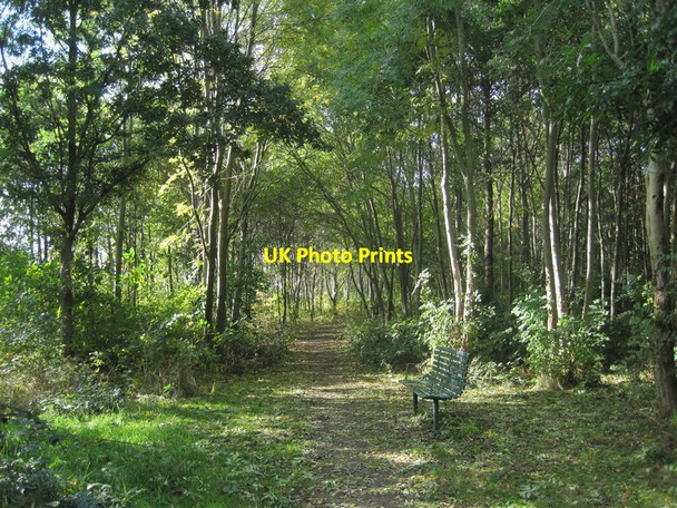 Photo 6"x4" New Hutte Woods Halewood c2016
