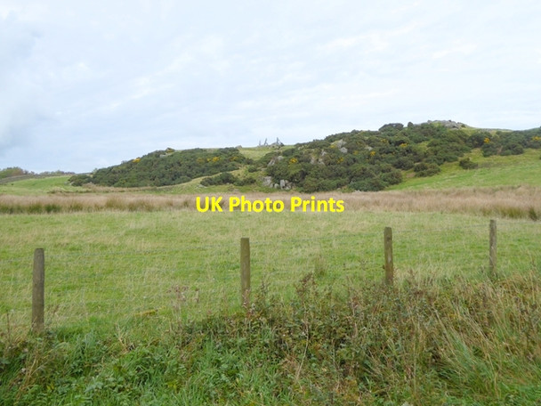 Photo 6"x4" Norman Crag Heggle Lane c2016