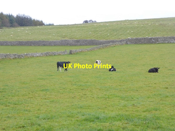Photo 6"x4" Fields below Cow Snout Wood Mungrisdale c2016
