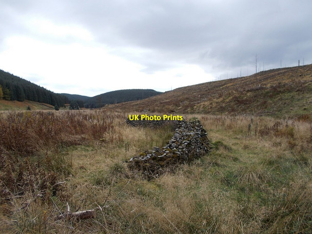 Photo 6"x4" Ruined sheepfold near Tweedhopefoot Glenbreck c2016