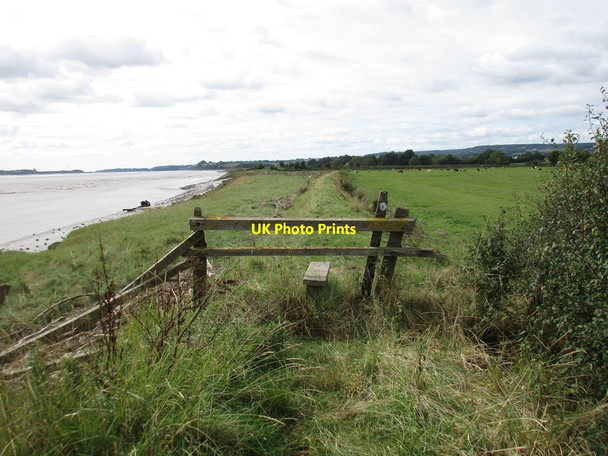 Photo 6"x4" Footpath along the river bank near Awre Awre c2016