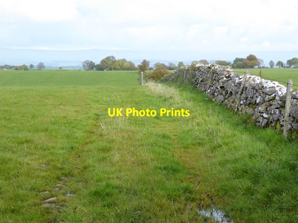 Photo 6"x4" Field and wall near Thanet Well Lamonby c2016
