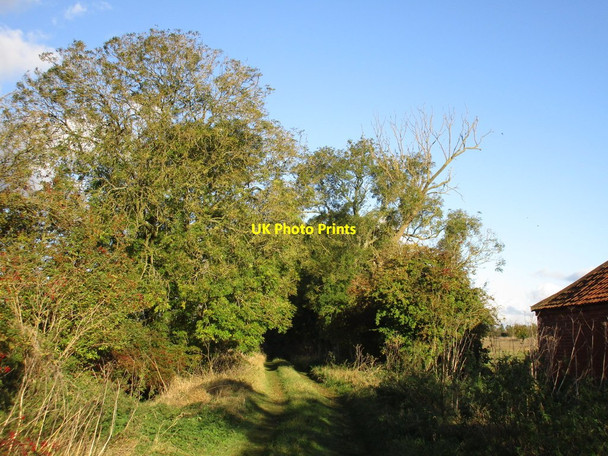Photo 6"x4" Lane to Rectory Farm Toft next Newton c2016