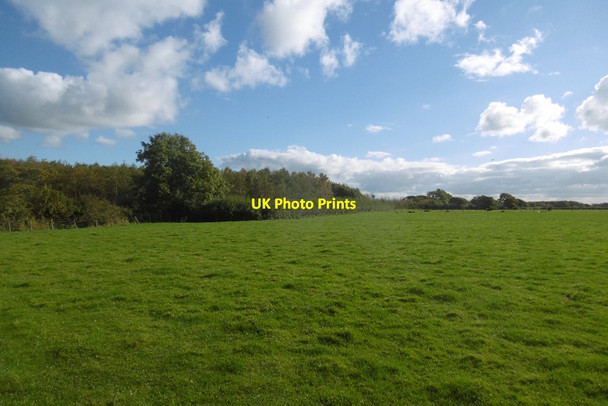 Photo 6"x4" Pasture off Longmoor Lane Nateby\/SD4644 c2016