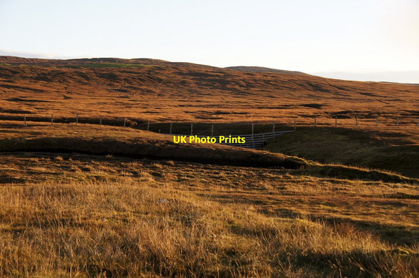 Photo 6"x4" Moorland, Scatsta Scatsta c2016