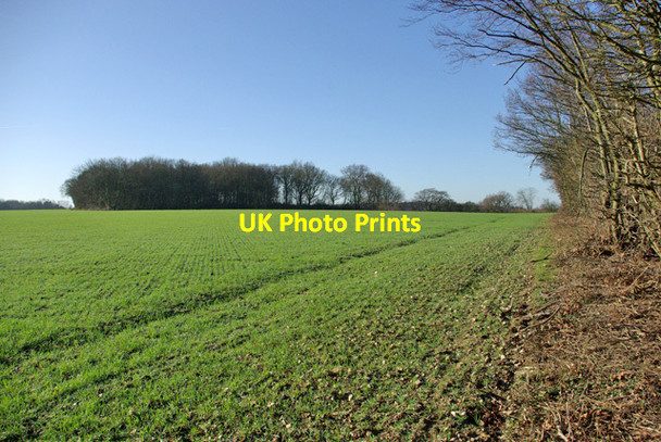 Photo 6"x4" Field edge by Scrubs Wood Luddesdown c2007
