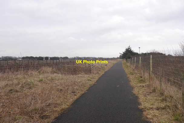 Photo 6"x4" Monifieth to Carnoustie Path Barry\/NO5334 c2016