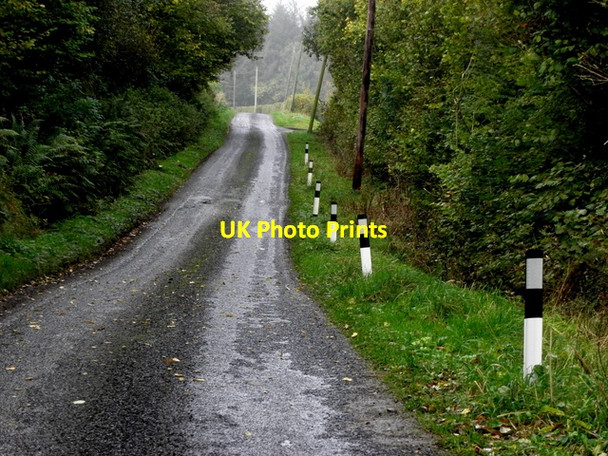 Photo 6"x4" Line of marker posts along Claragh Road Drumquin c2016