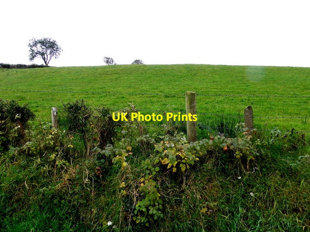 Photo 6"x4" A low hill, Claraghmore Drumquin c2016