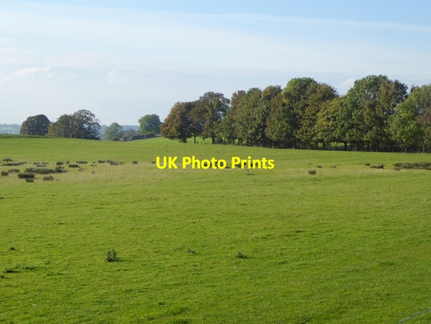 Photo 6"x4" Field off Peter Gate Low Cotehill c2016
