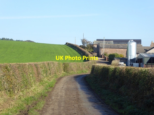 Photo 6"x4" Lane past Bank House Farm Aiketgate c2016