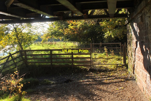 Photo 6"x4" Riverside path under the Tweed Bridge, Innerleithen Innerleithen c2016