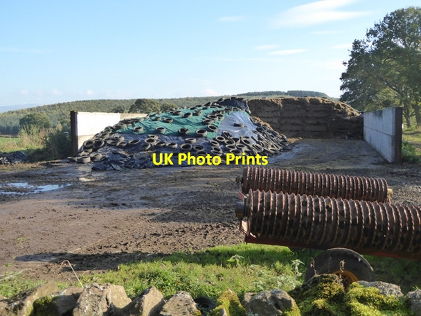 Photo 6"x4" Silage clamp at Aiketgate Aiketgate c2016
