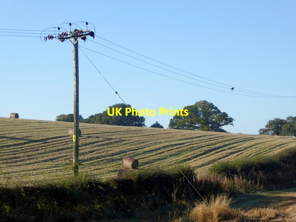 Photo 6"x4" Newly-harvested field and electricity transmission pole Low Cotehill c2016