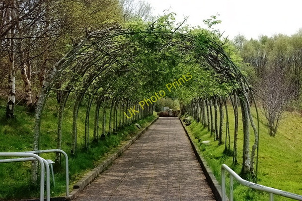 Photo 6"x4" Glenveagh National Park - Path to visitor centre Creeslough c2008
