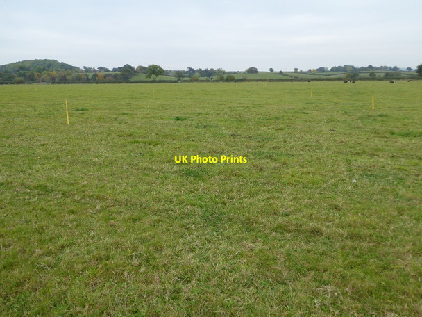Photo 6"x4" Meadowland about to change Church End\/SO8341 c2016