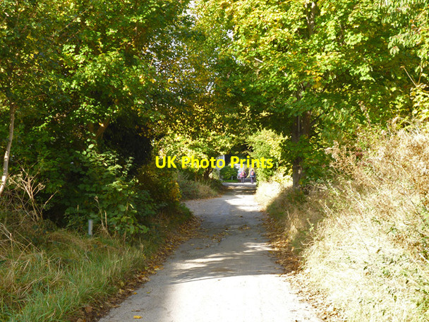 Photo 6"x4" Spital Road, Lewes Lewes c2016